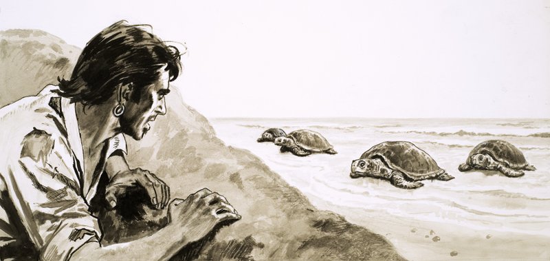 Los náufragos: Terror en la Isla de las Tortugas de English School