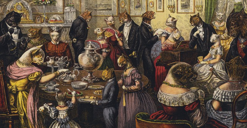 La fiesta del té de los gatos de English School