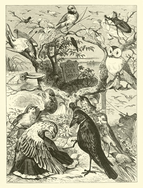 La muerte y el entierro de Cock Robin de English School
