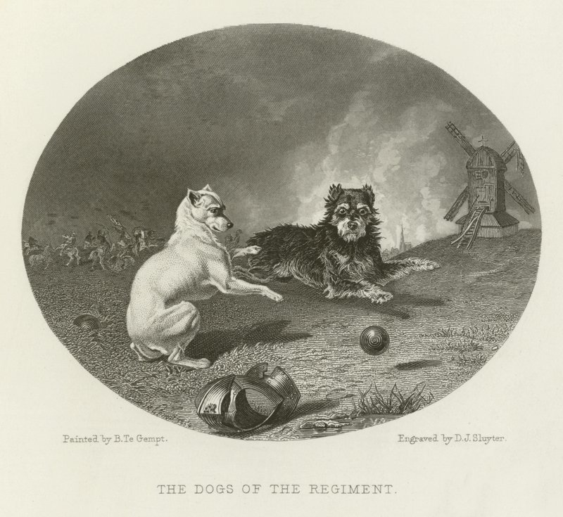 Los Perros del Regimiento de English School