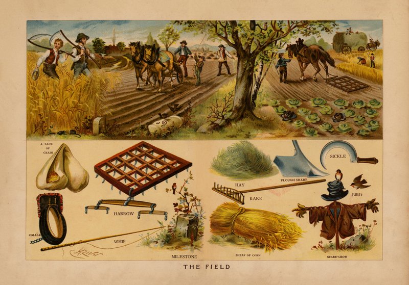 El campo (litografía en color) de English School