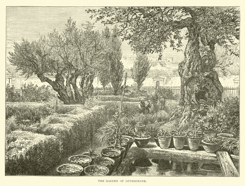 El Jardín de Getsemaní de English School