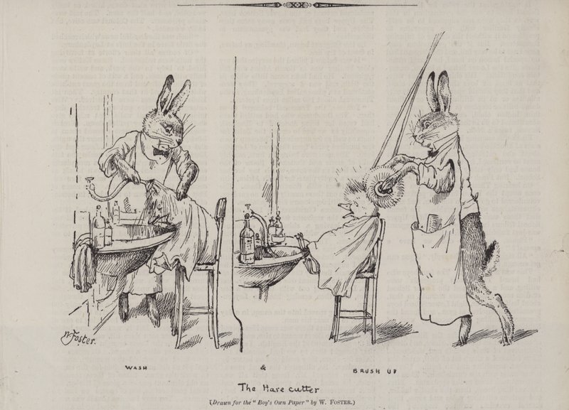 El cortador de liebres de English School