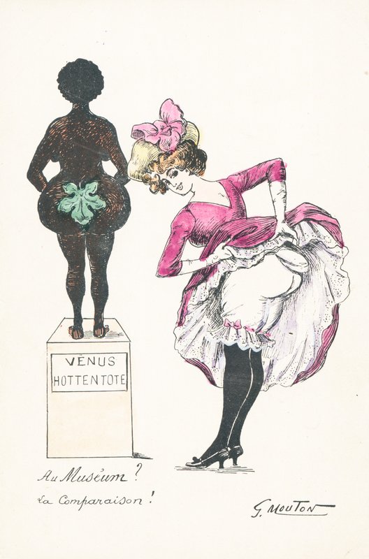 La Venus hotentote de English School