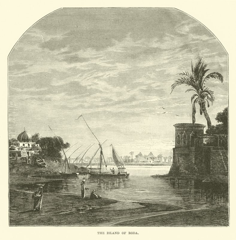 La Isla de Roda de English School