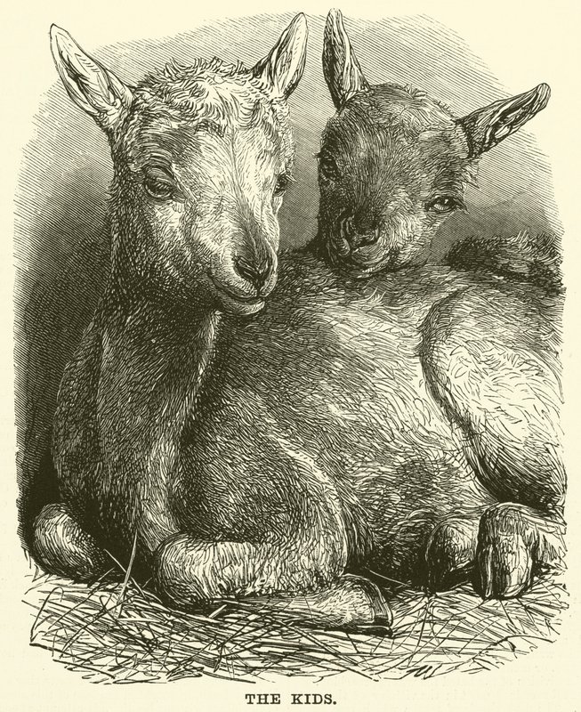 Los niños (grabado) de English School