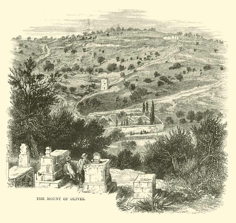 El Monte de los Olivos de English School