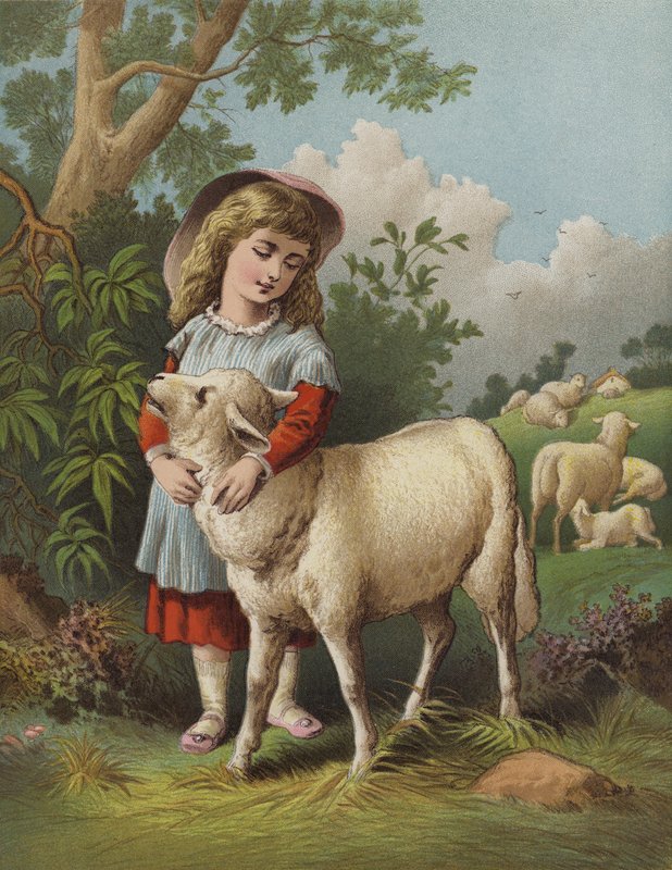 El Cordero Mascota (chromolitho) de English School
