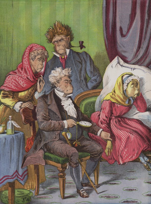 El médico (cromolito) de English School