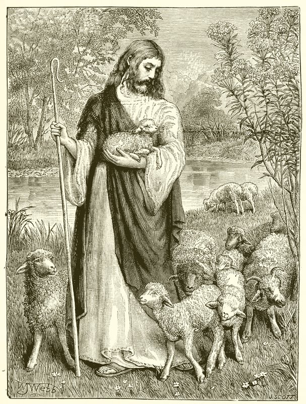 El pastor y los corderos de English School