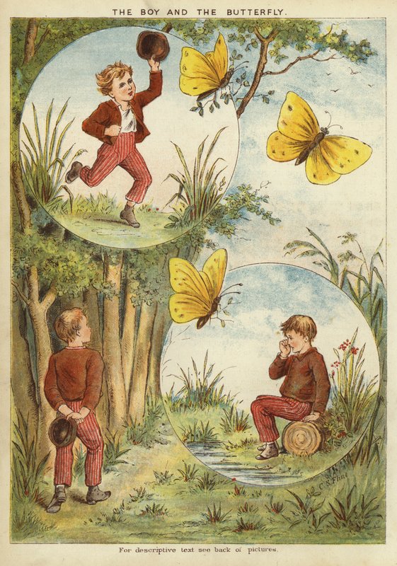 El niño y la mariposa de English School