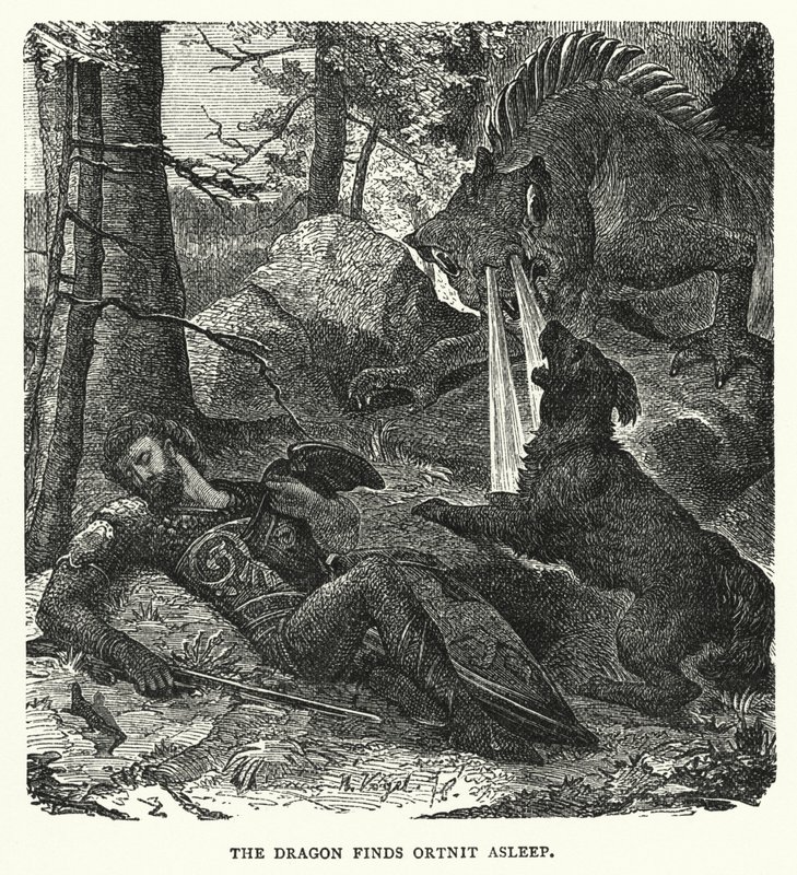 El dragón encuentra a Ortnit dormido de English School