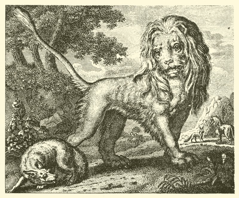 El zorro y el león (grabado) de English School