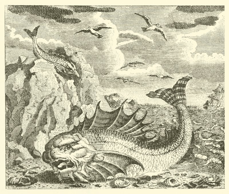 El atún y el delfín (grabado) de English School