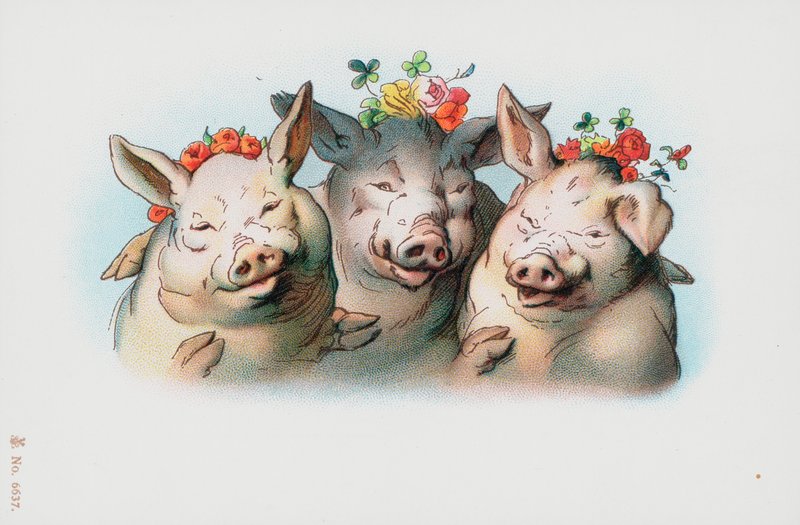 Tres cerdos con flores en la cabeza de English School
