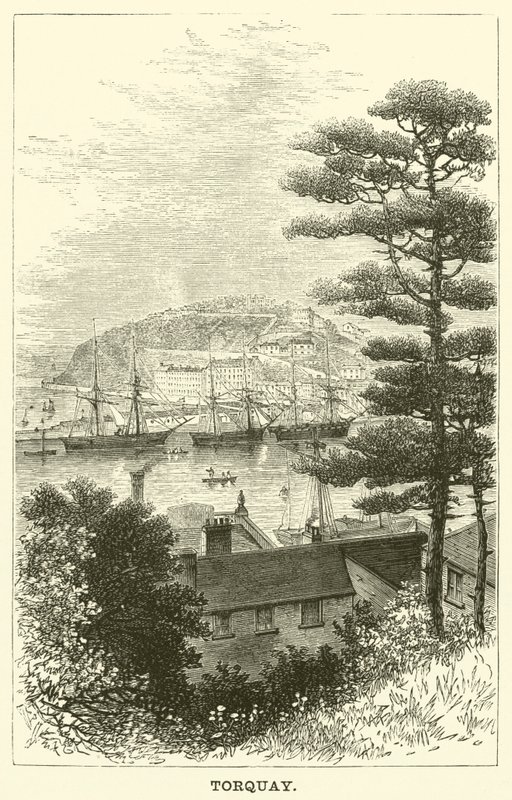 Torquay de English School