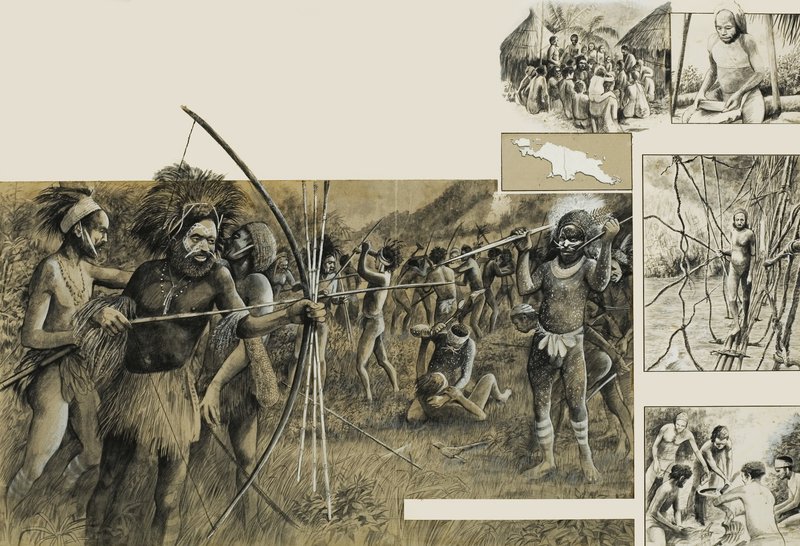 Tribus de Nueva Guinea de English School