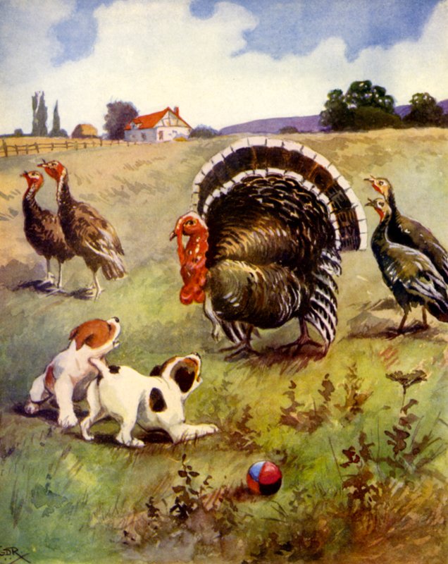 Pavos en problemas (litografia en color) de English School