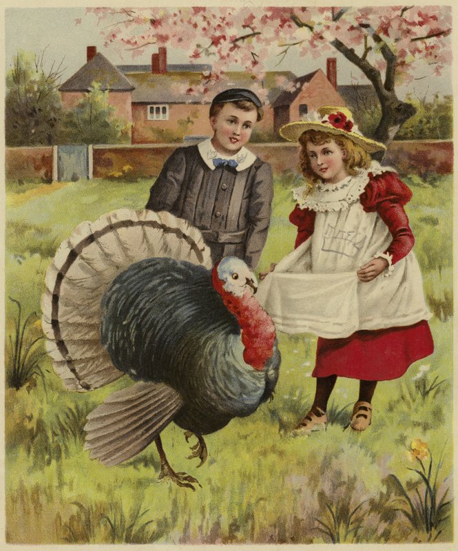 Dos niños pequeños de pie junto a un pavo de English School
