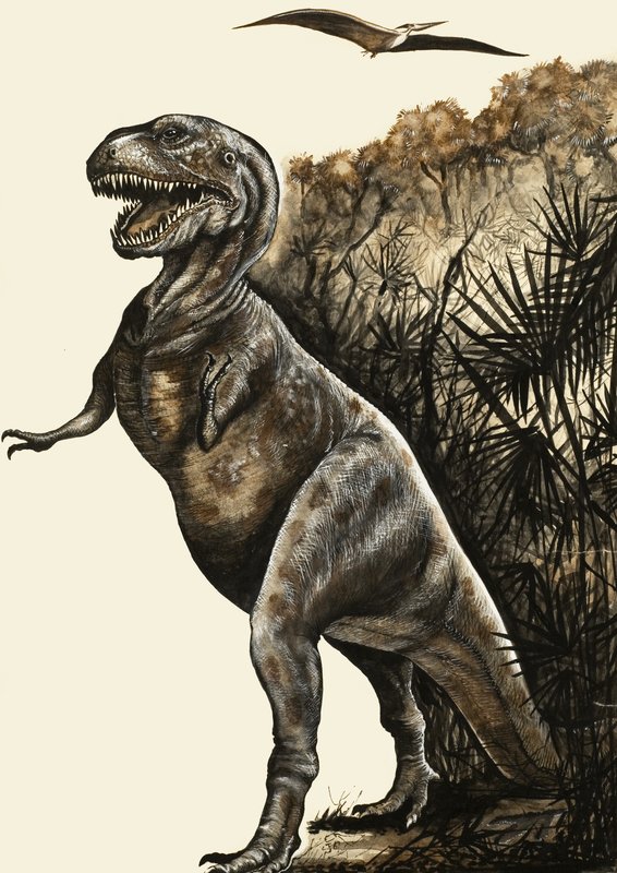 Tyrannosaurus Rex de English School
