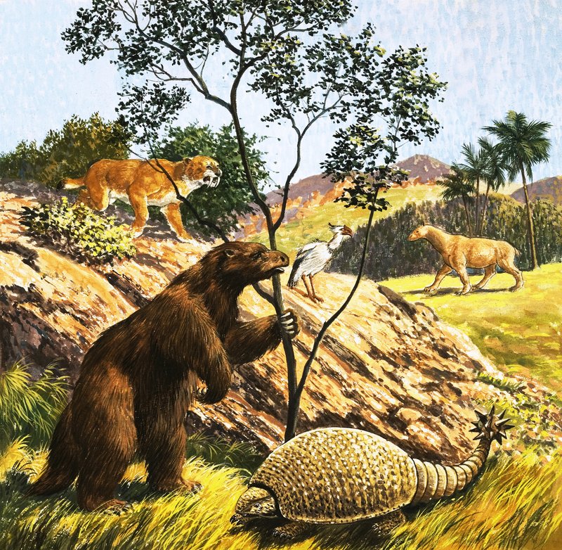 Criaturas prehistóricas no identificadas de English School