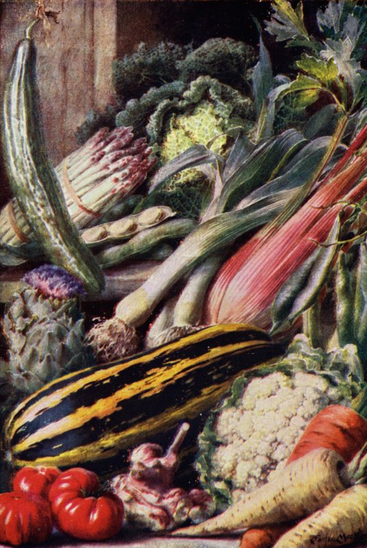Verduras (lito de color) de English School