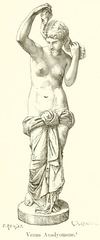 Venus Anadiomena de English School