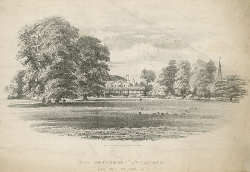 Vista desde los terrenos de The Shrubbery de English School