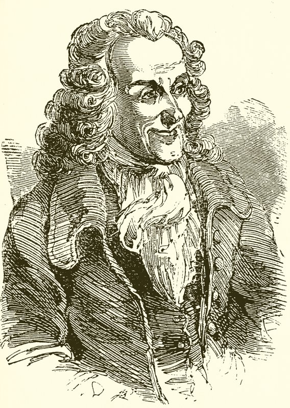 Voltaire de English School