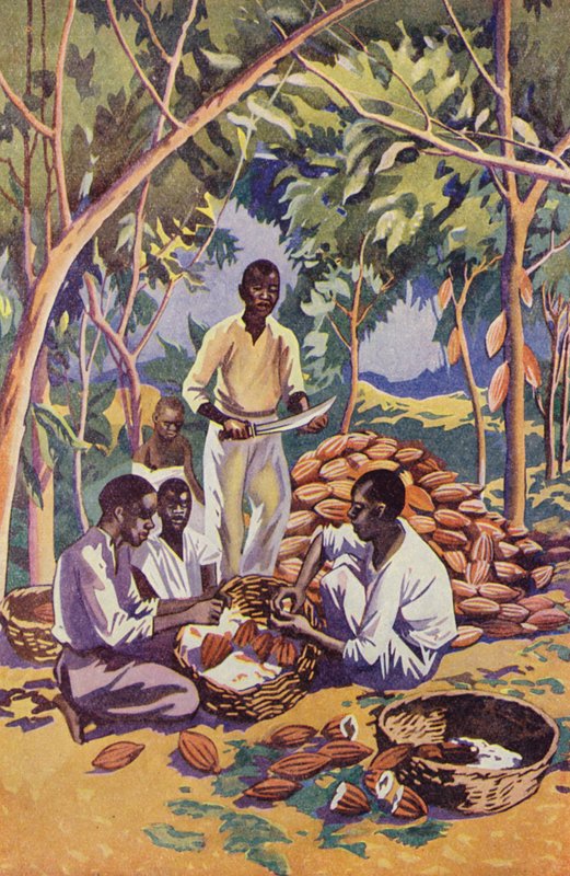 África Occidental, abriendo vainas de cacao (litografía en color) de English School