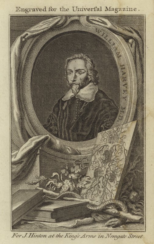 William Harvey M.D. de English School