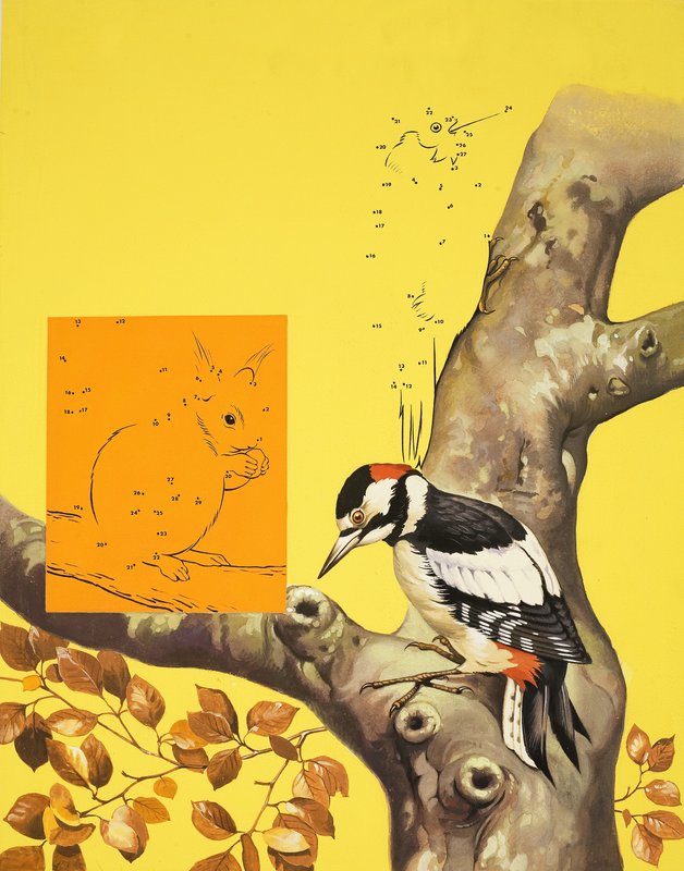 Página de rompecabezas del pájaro carpintero de English School