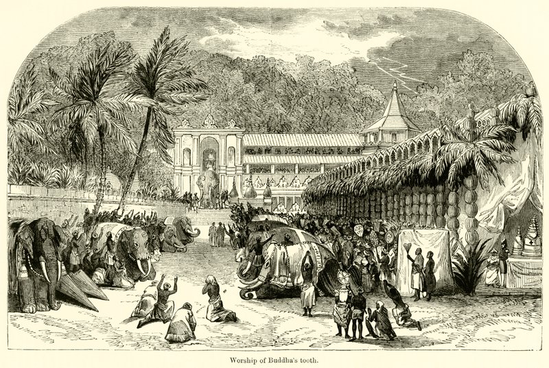 Adoración del diente de Buda de English School