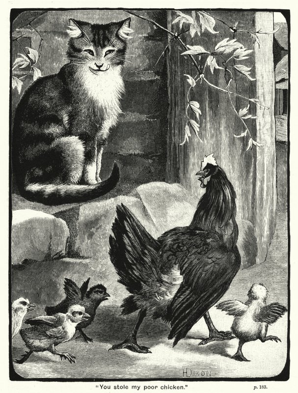 "Robaste mi pobre gallina" (grabado) de English School