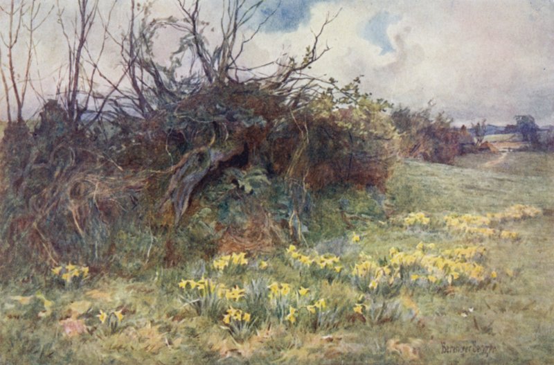 Cuando los narcisos empiezan a asomar de Ernest Benger or Berenger