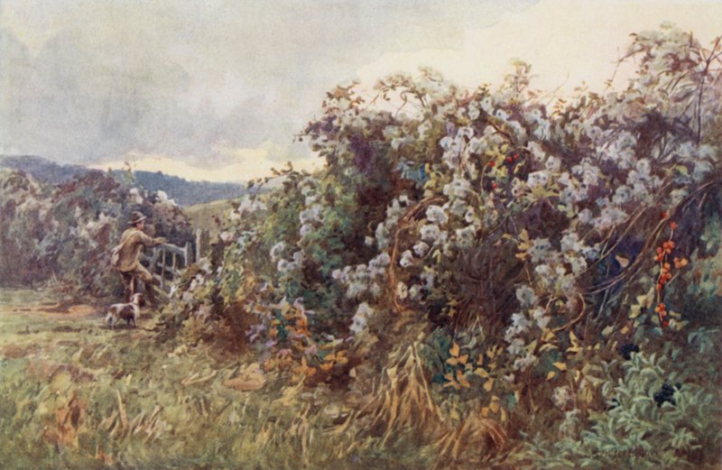 Alegría de los viajeros de Ernest Benger or Berenger