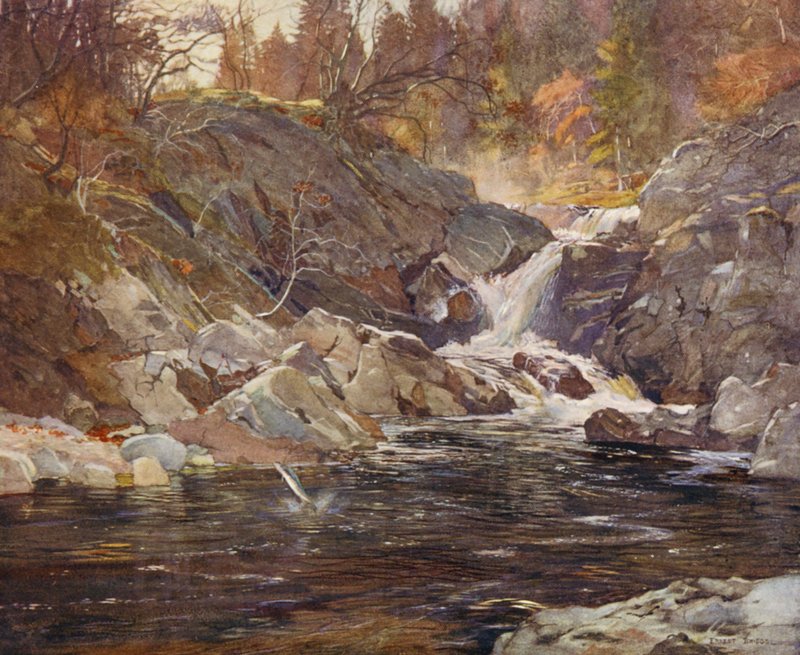 A Perthshire side-glen (litografía en color) de Ernest Edward Briggs
