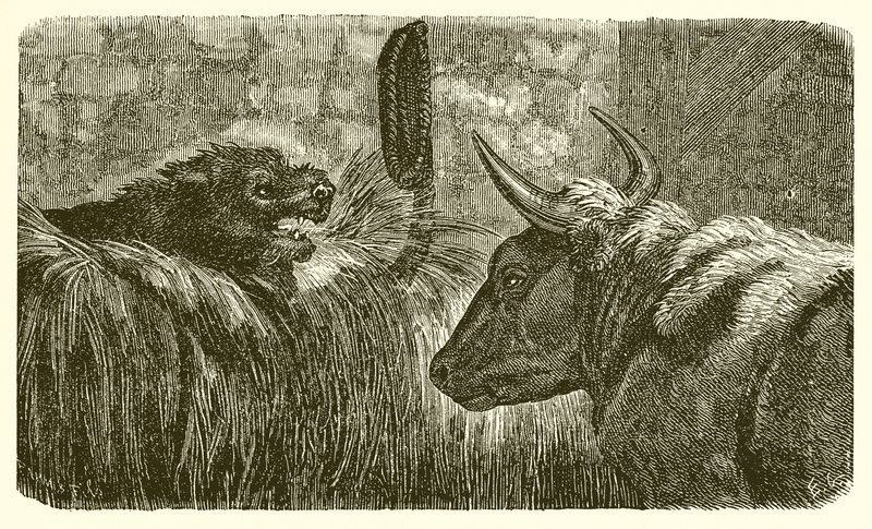 El perro en el pesebre de Ernest Henry Griset