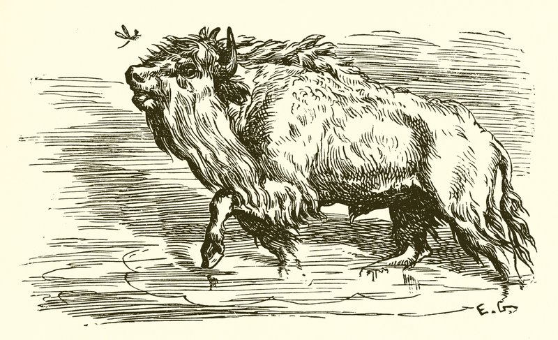 El mosquito y el toro de Ernest Henry Griset