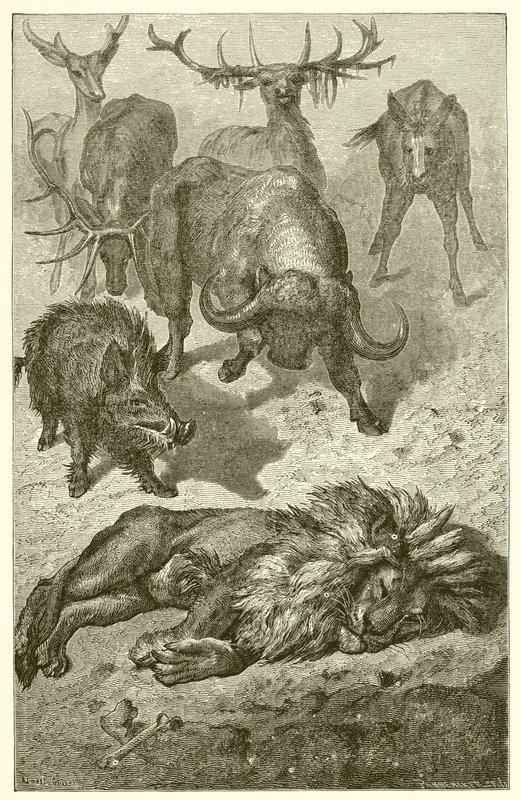 El Viejo León de Ernest Henry Griset