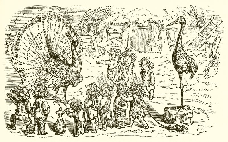 El pavo real y la grulla de Ernest Henry Griset