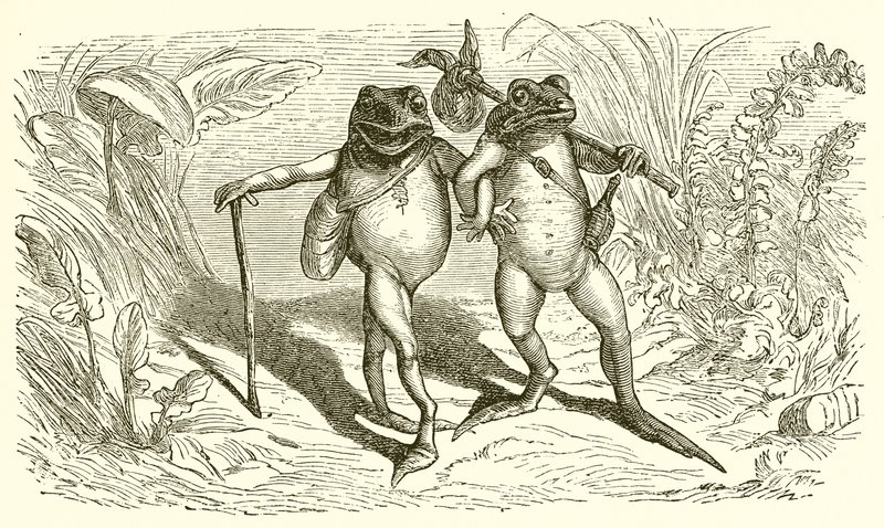 Las dos ranas de Ernest Henry Griset
