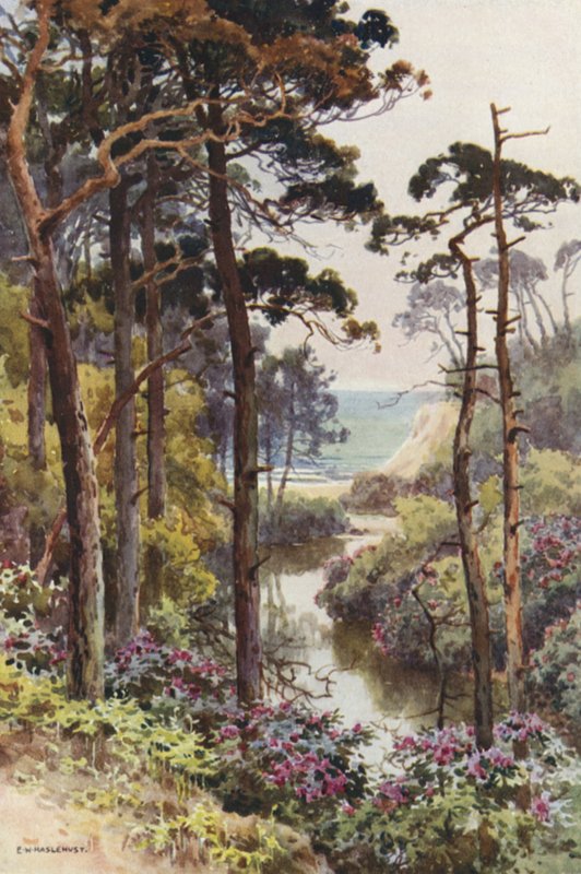 Branksome Chine, Bournemouth (litografía en color) de Ernest William Haslehust