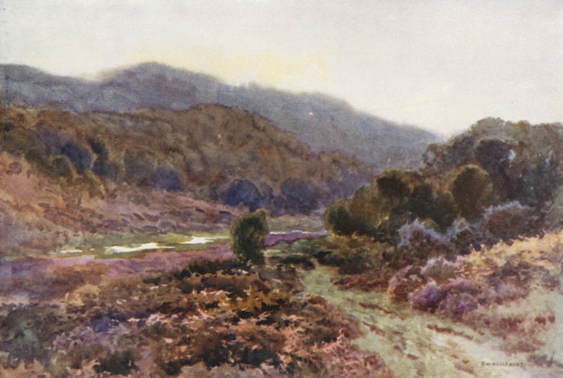Por Broomy Water (litografía en color) de Ernest William Haslehust