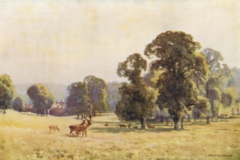 Cobham Park (litografía en color) de Ernest William Haslehust
