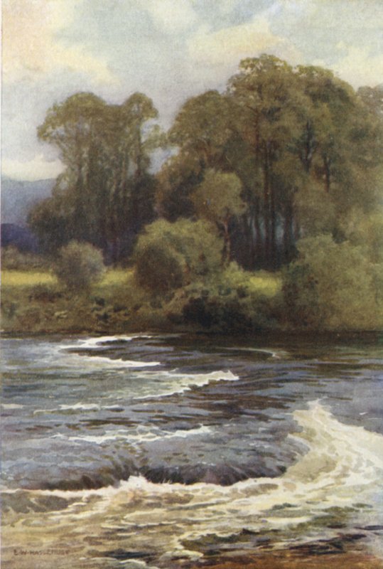Cataratas de Monnington (litografía en color) de Ernest William Haslehust