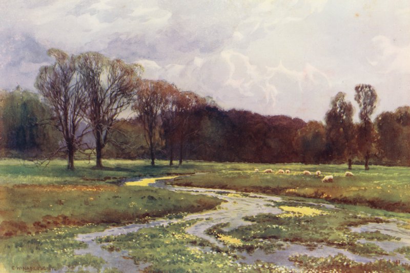 Río Támesis: Thames Head (litografía en color) de Ernest William Haslehust