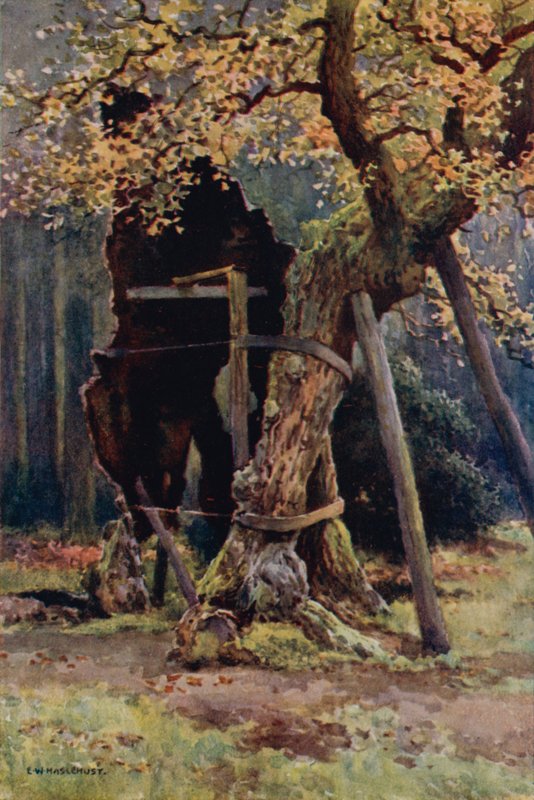 La despensa de Robin Hood (litografía en color) de Ernest William Haslehust