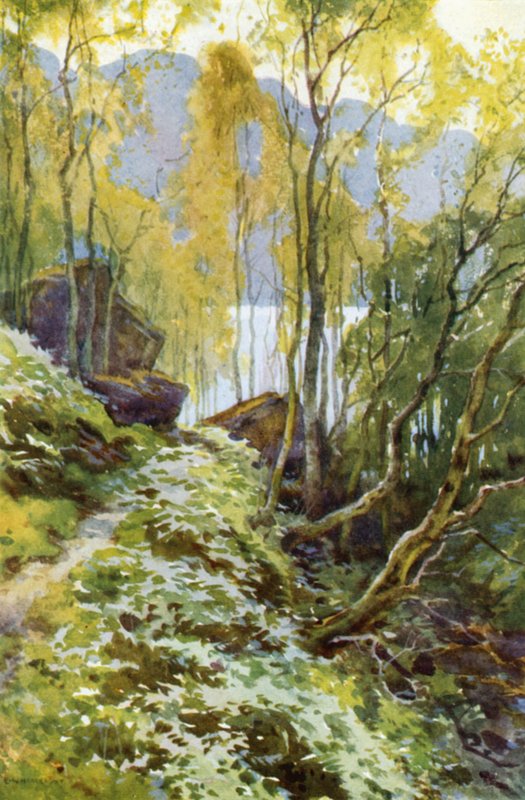 The Old Pass, Trossachs (litografía en color) de Ernest William Haslehust