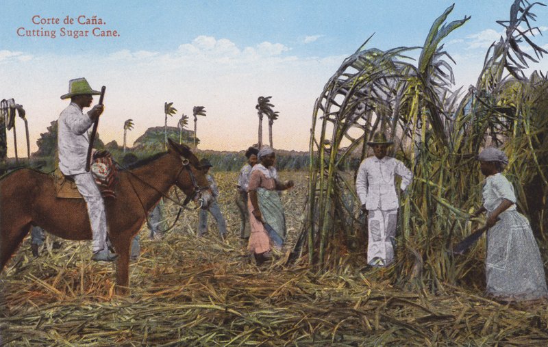 La Habana, Cuba: Cortando caña de azúcar (foto) de European Photographer